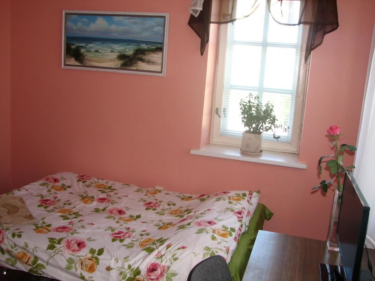 Гостевой дом Little Amber Guest House Клайпеда-41